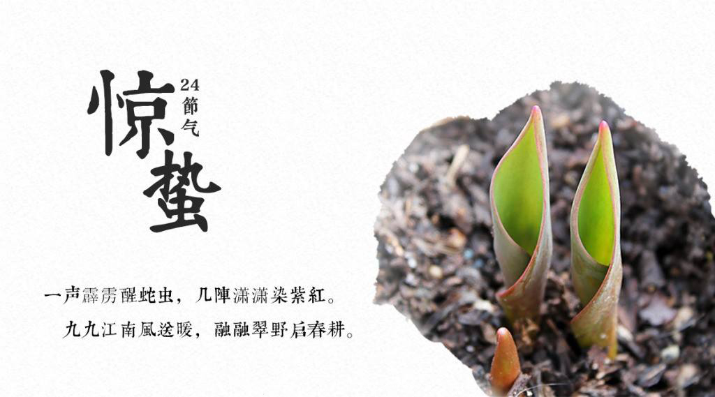 餐飲空間設(shè)計你現(xiàn)在不搞，那要等什么時候搞